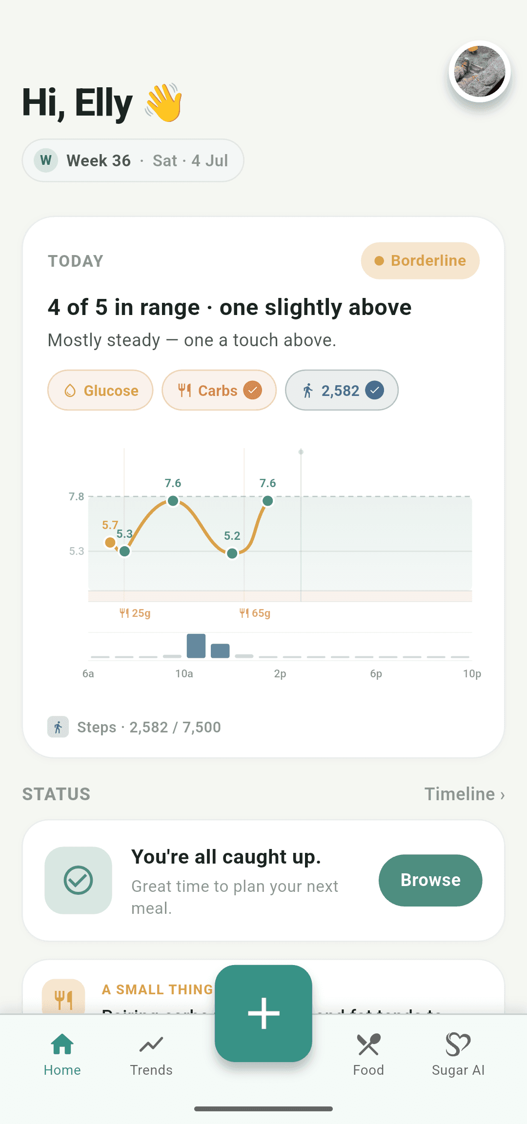 SugarCurve home screen