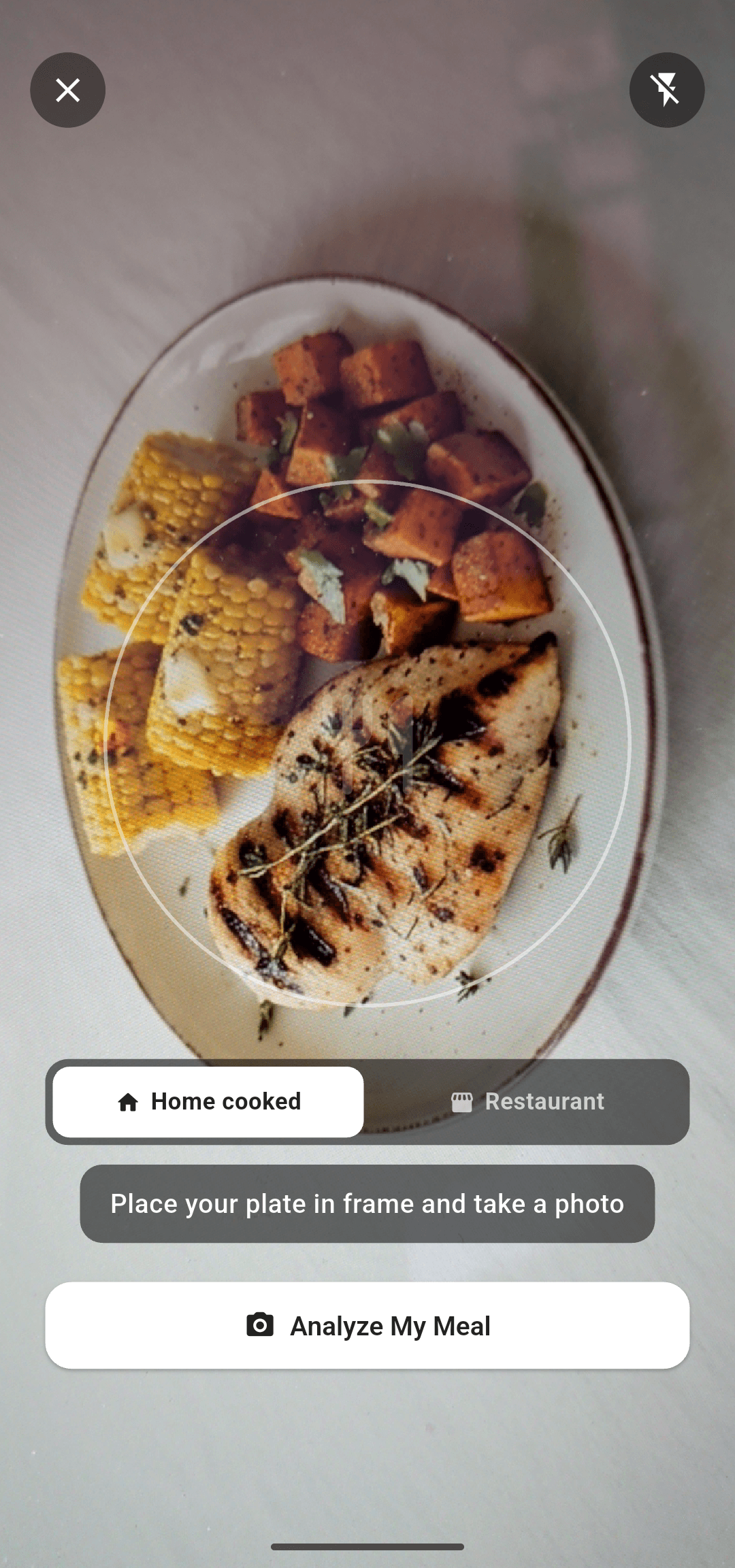 Plate Scanner