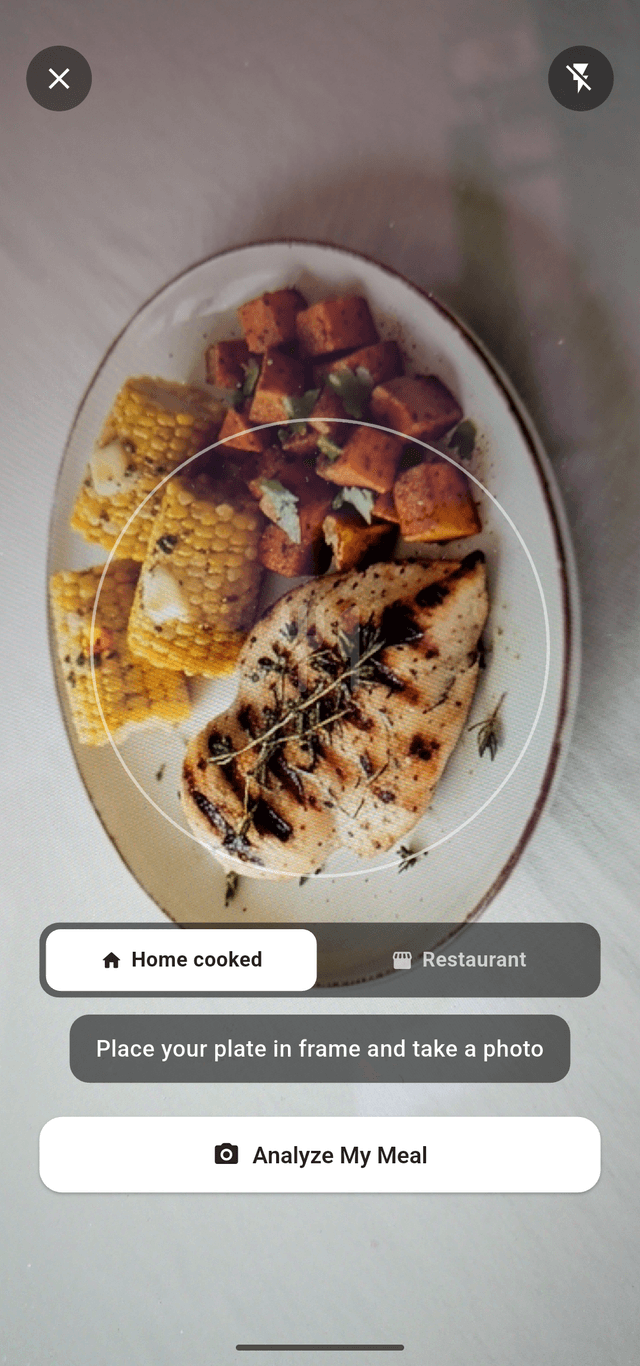 Plate scanner